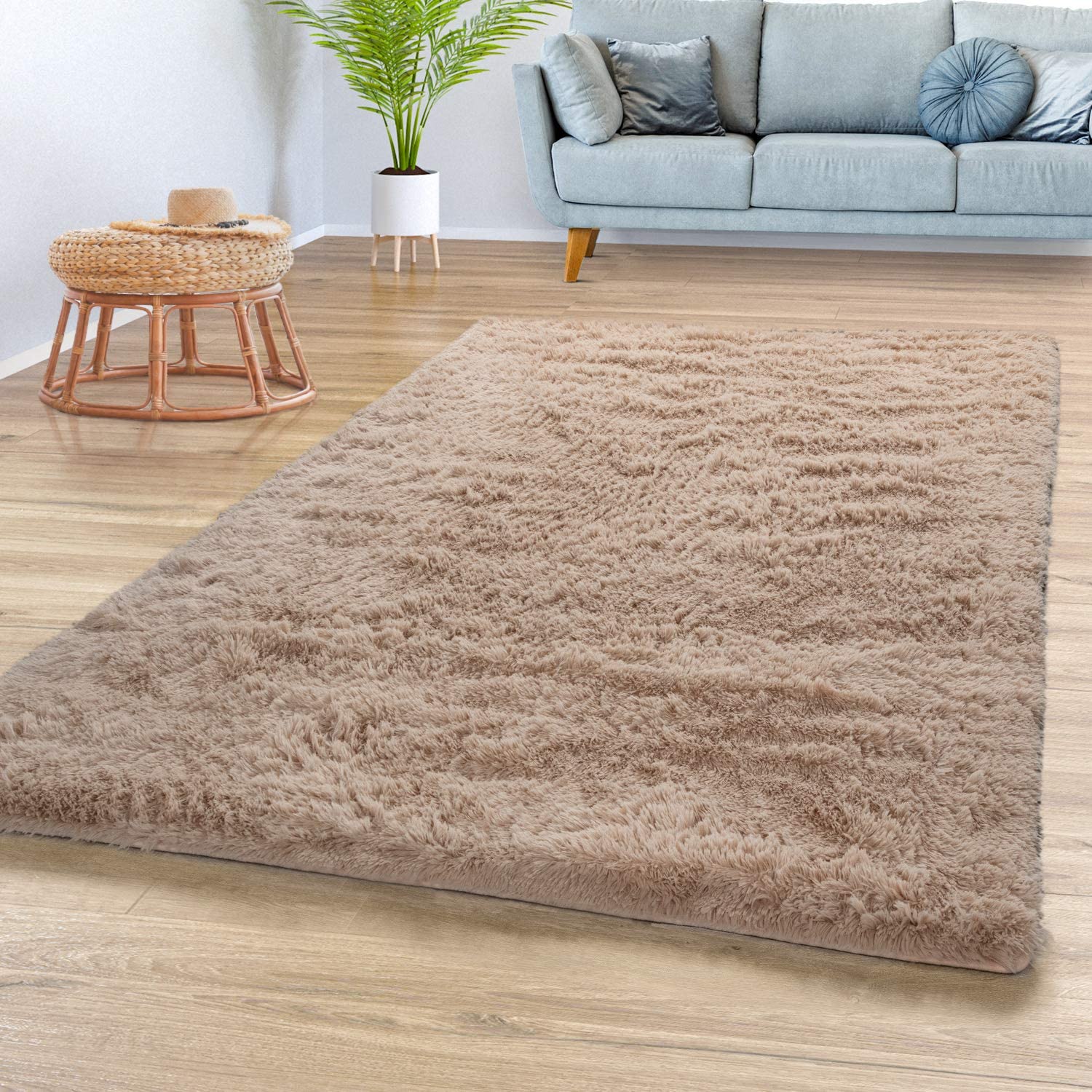 tapis.jpg
