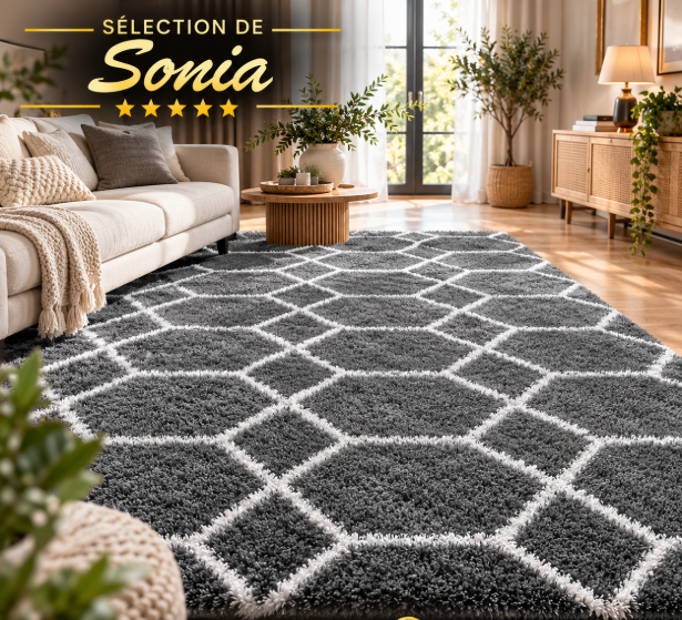 tapis-salon-sour-lemon-gris-160x230-28-99-euros-sonia-clubpromos.png