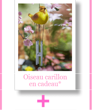 upload_2017-6-6_13-8-22.png upload_2017-6-6_13-8-22.png