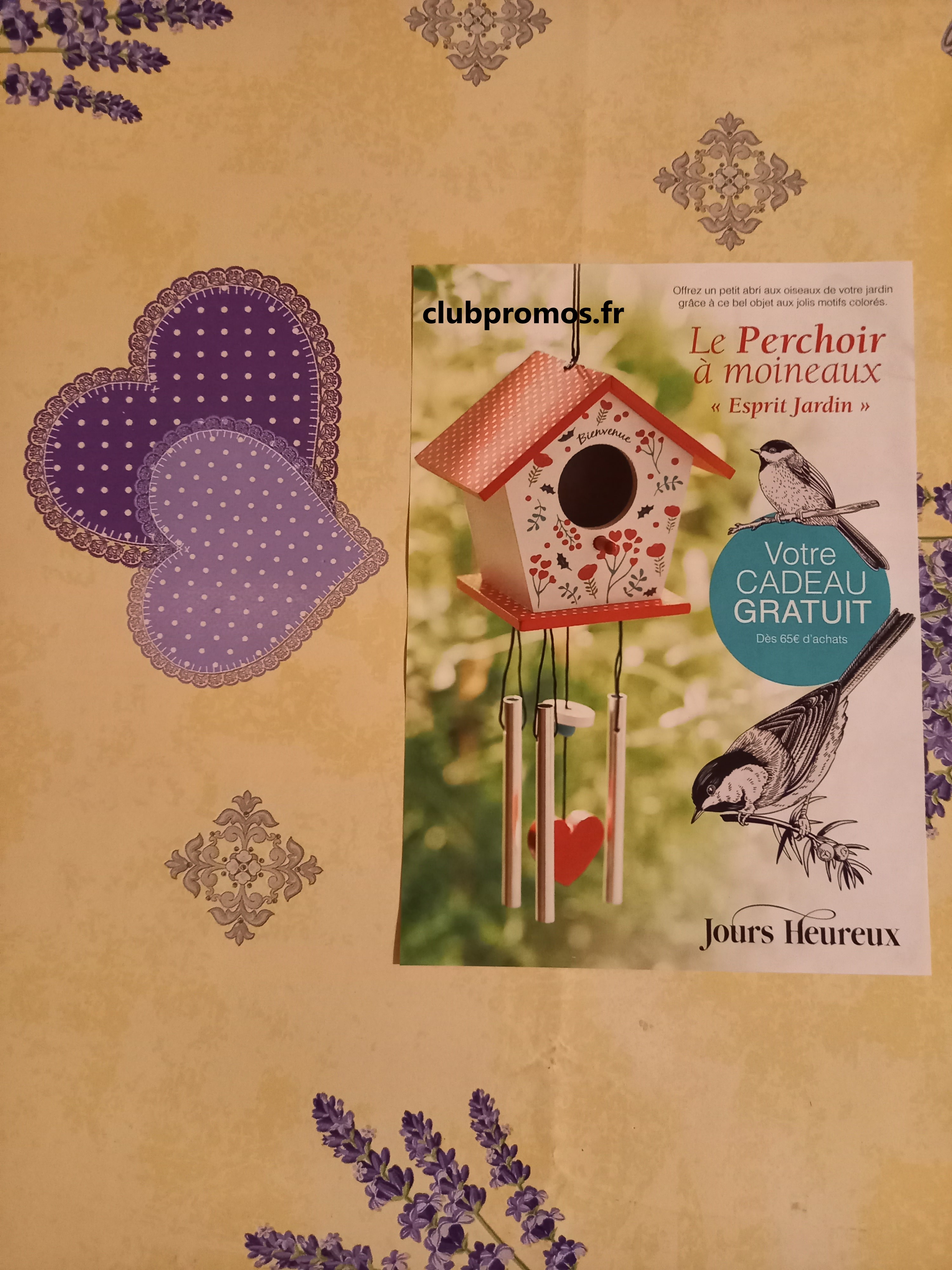 zz photos divers 145.jpg