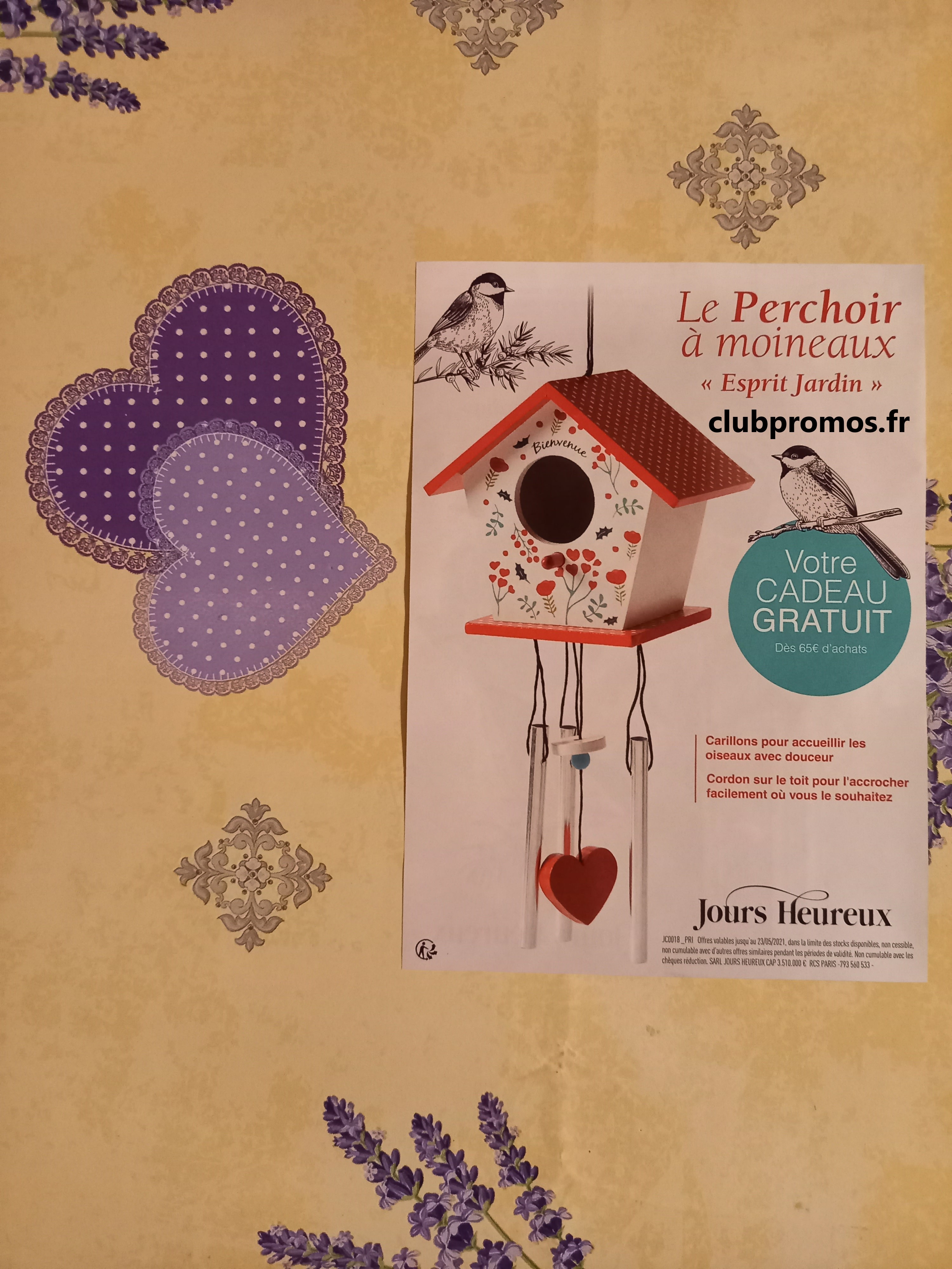 zz photos divers 146.jpg