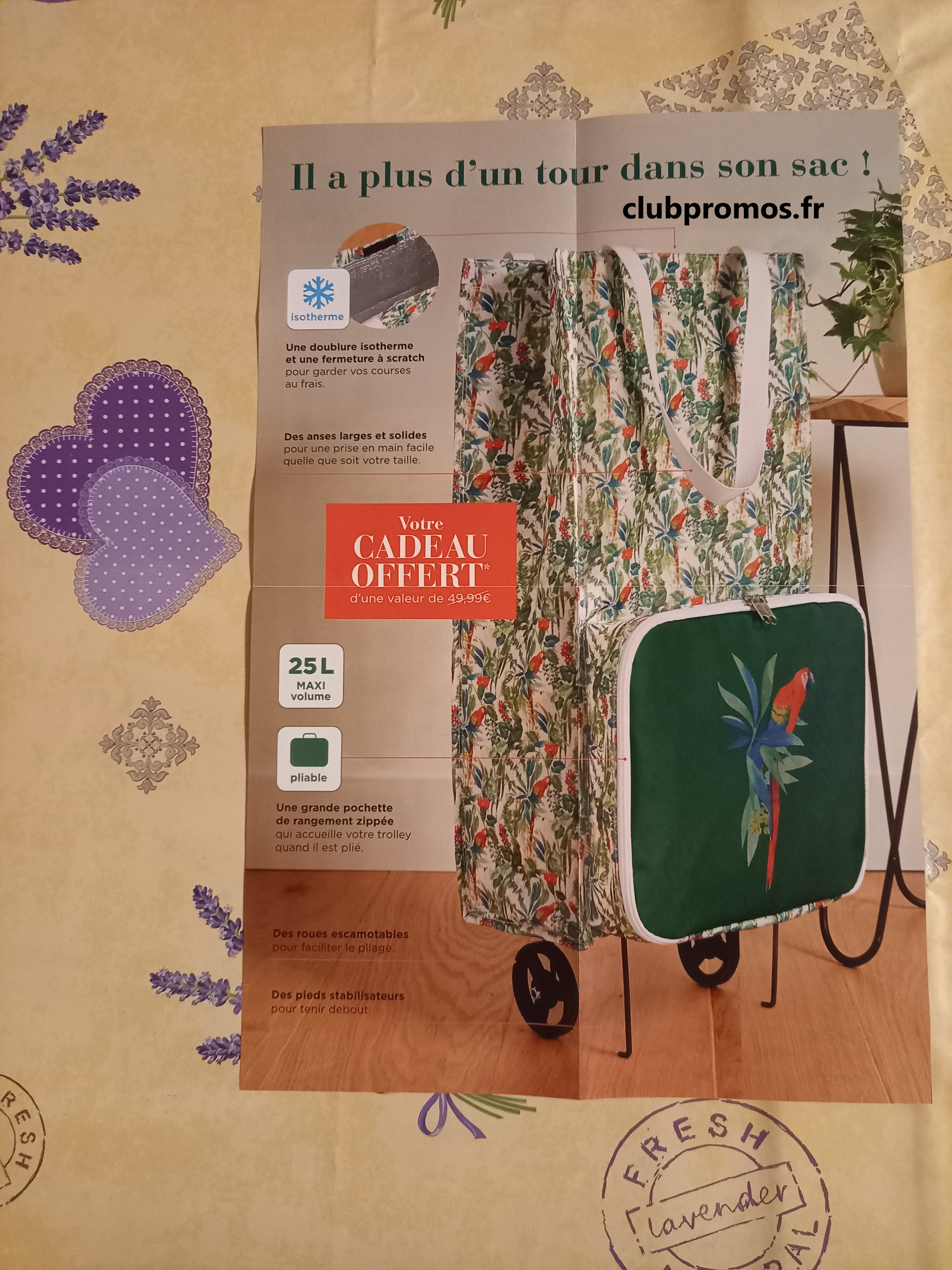 zz photos divers 1604 266.jpg