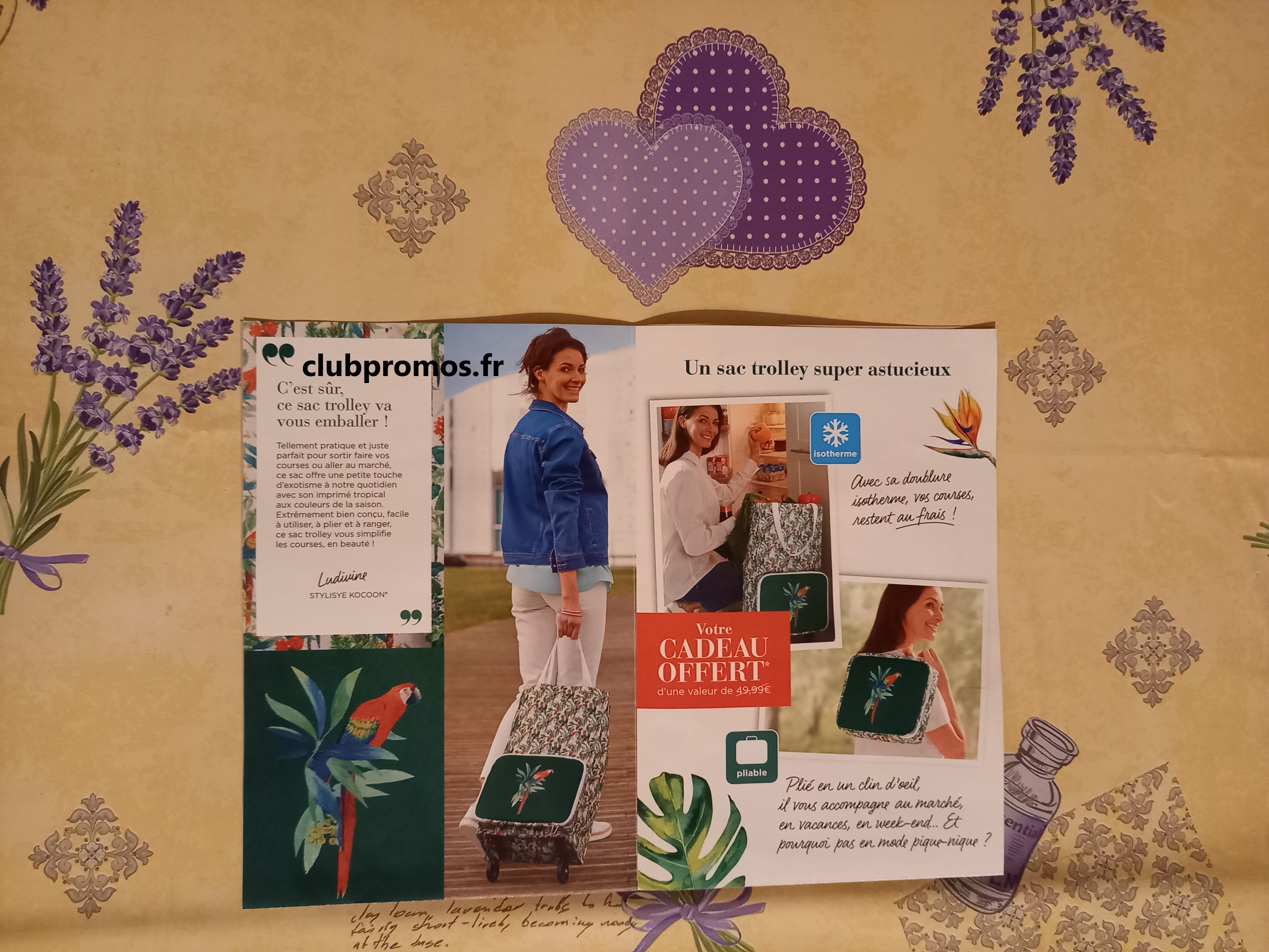 zz photos divers 1604 267.jpg