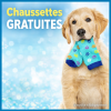 chaussettes-gratuites-chiens-guides-offre-solidaire.png