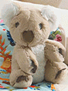 Sans-titre---1.Koala.Pluche.120x160.gif