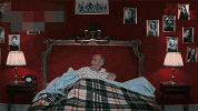 Sans-titre---1-1776562087484.gif