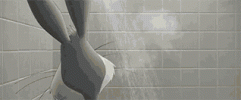 Sans-titre---1-1778253943928.gif