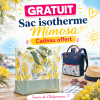 sac-mimosa-linvogse.png