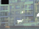 Sans-titre---2-1784661497387.gif