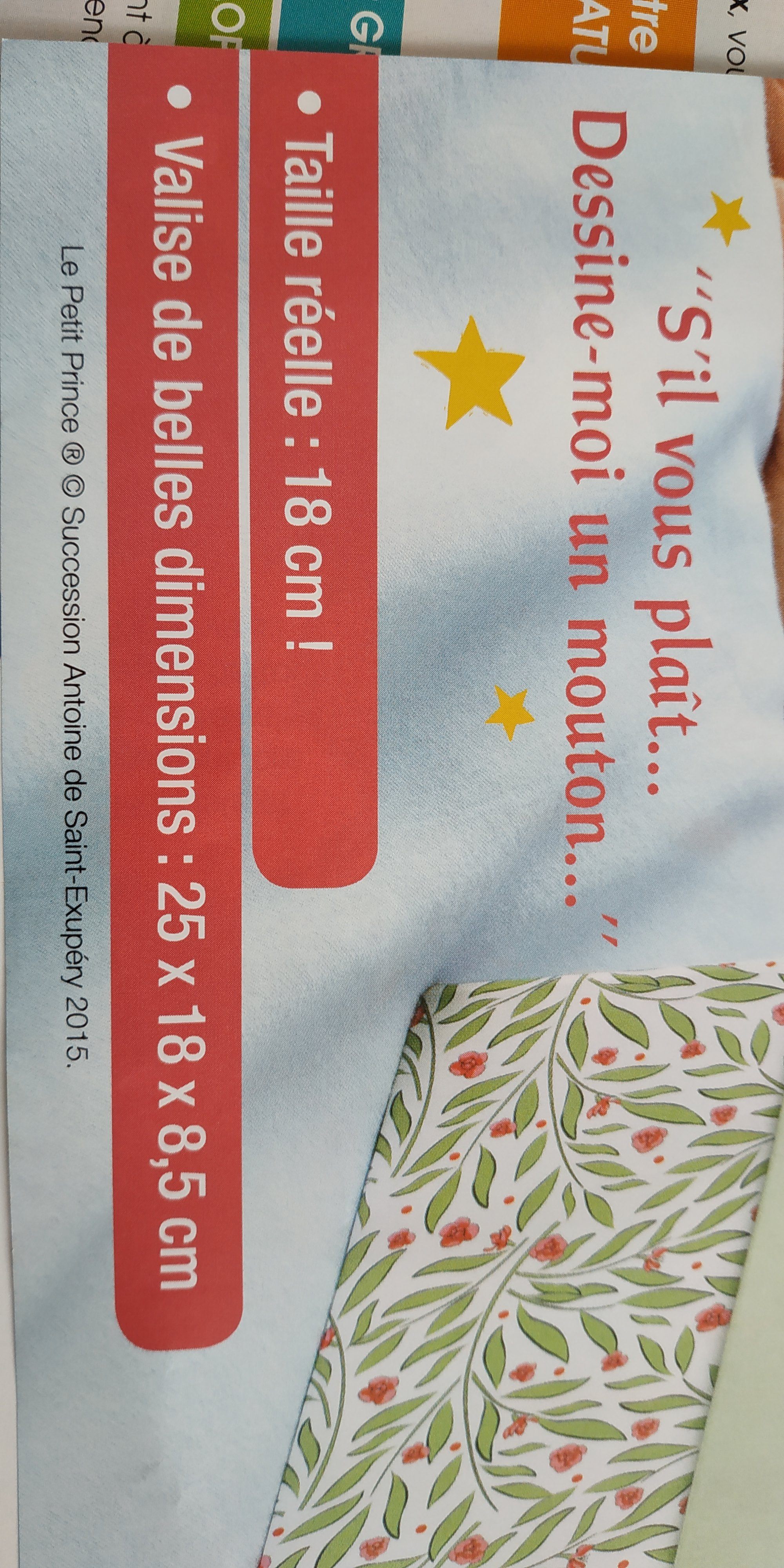 15533479838528808533625303937790.jpg