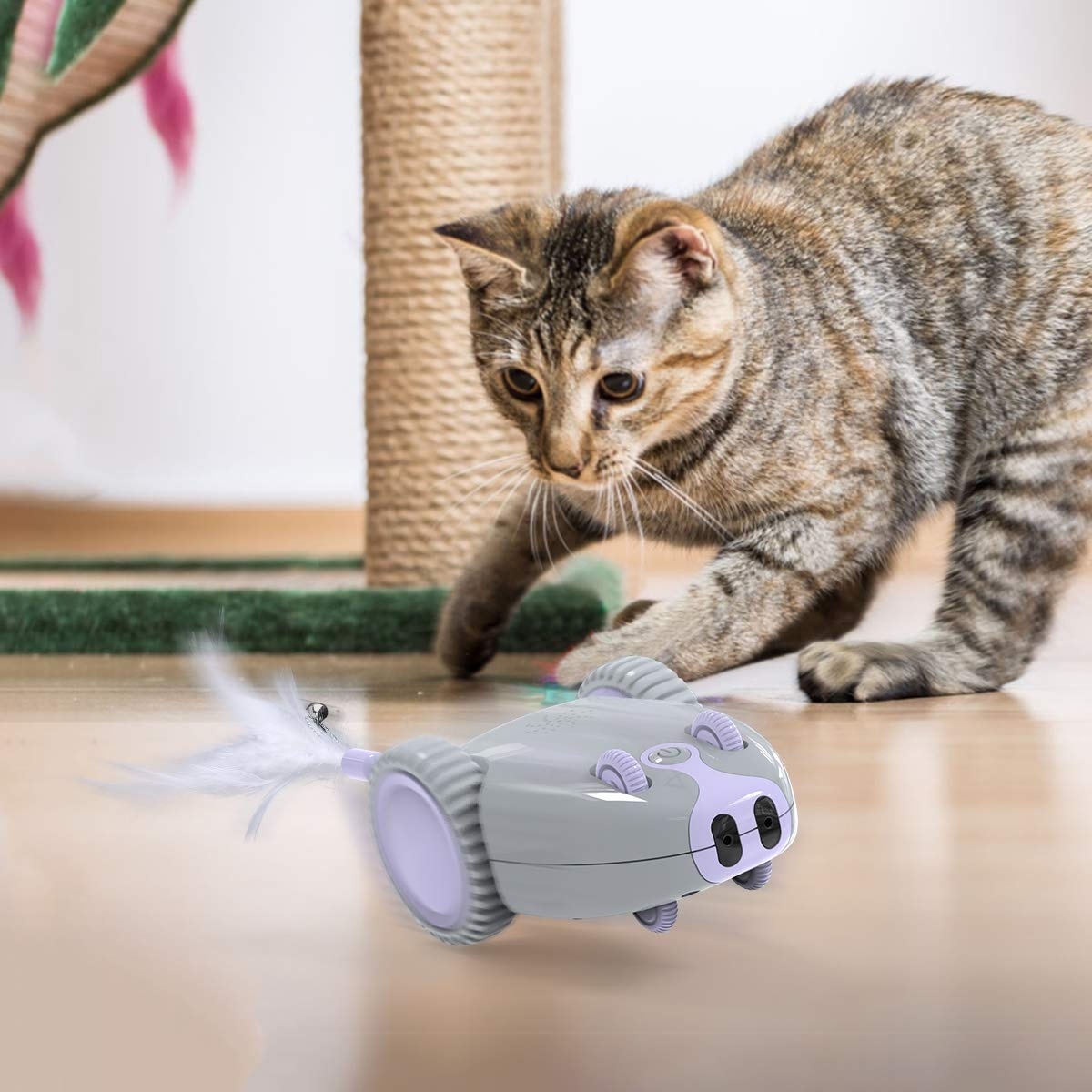 Code Promo Jouet Pour Chat Souris Dadypet Rechargeable Par Usb A 21 99 Eur Sur Amazon
