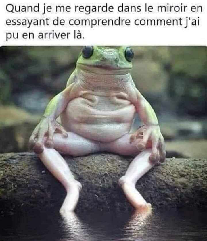 1609403258699.png