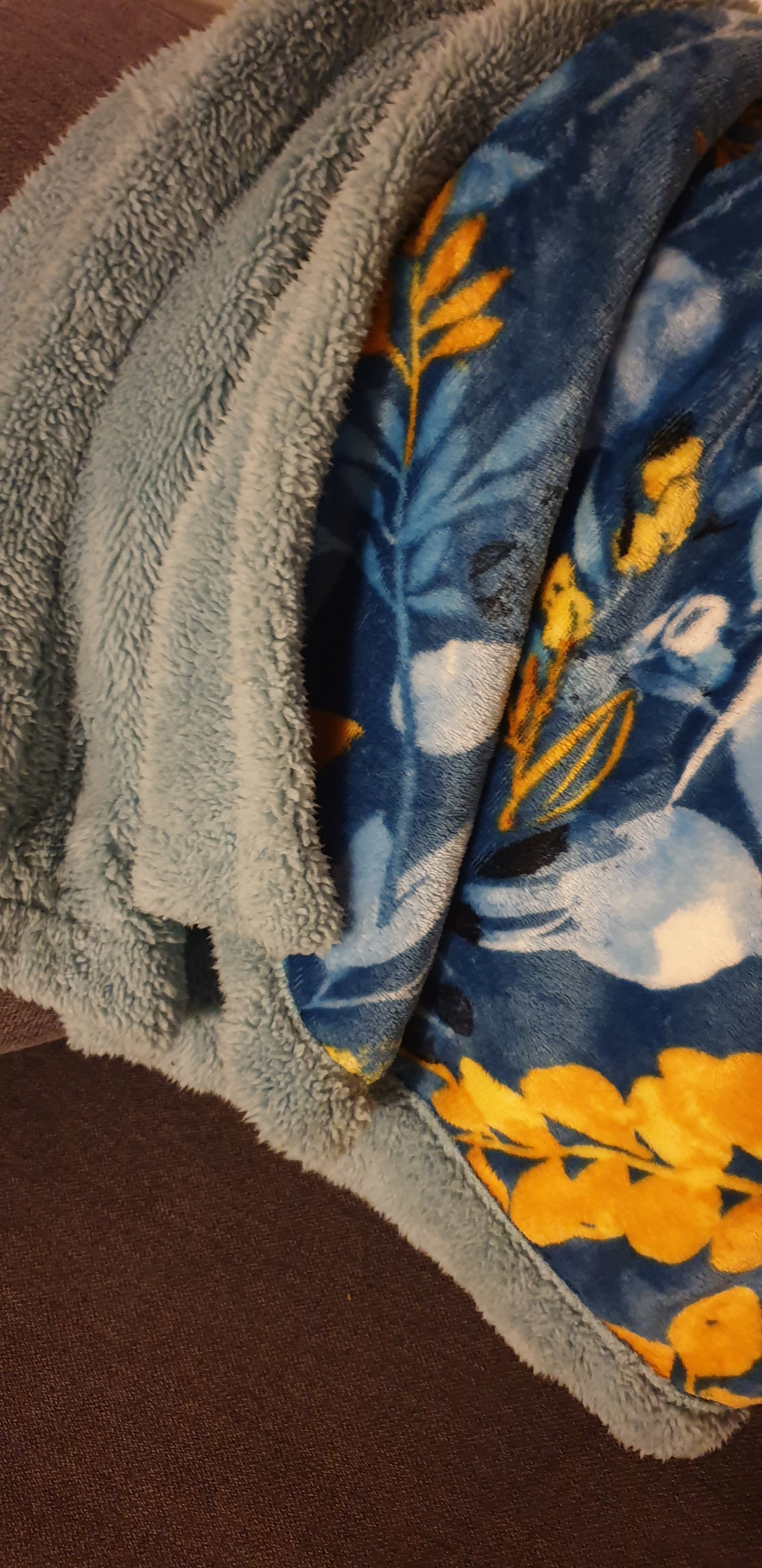 20230130_185557.jpg