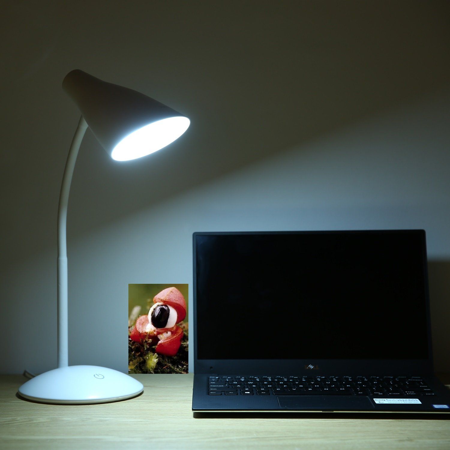 61kXROeUOlL._SL1500_ (1).jpg