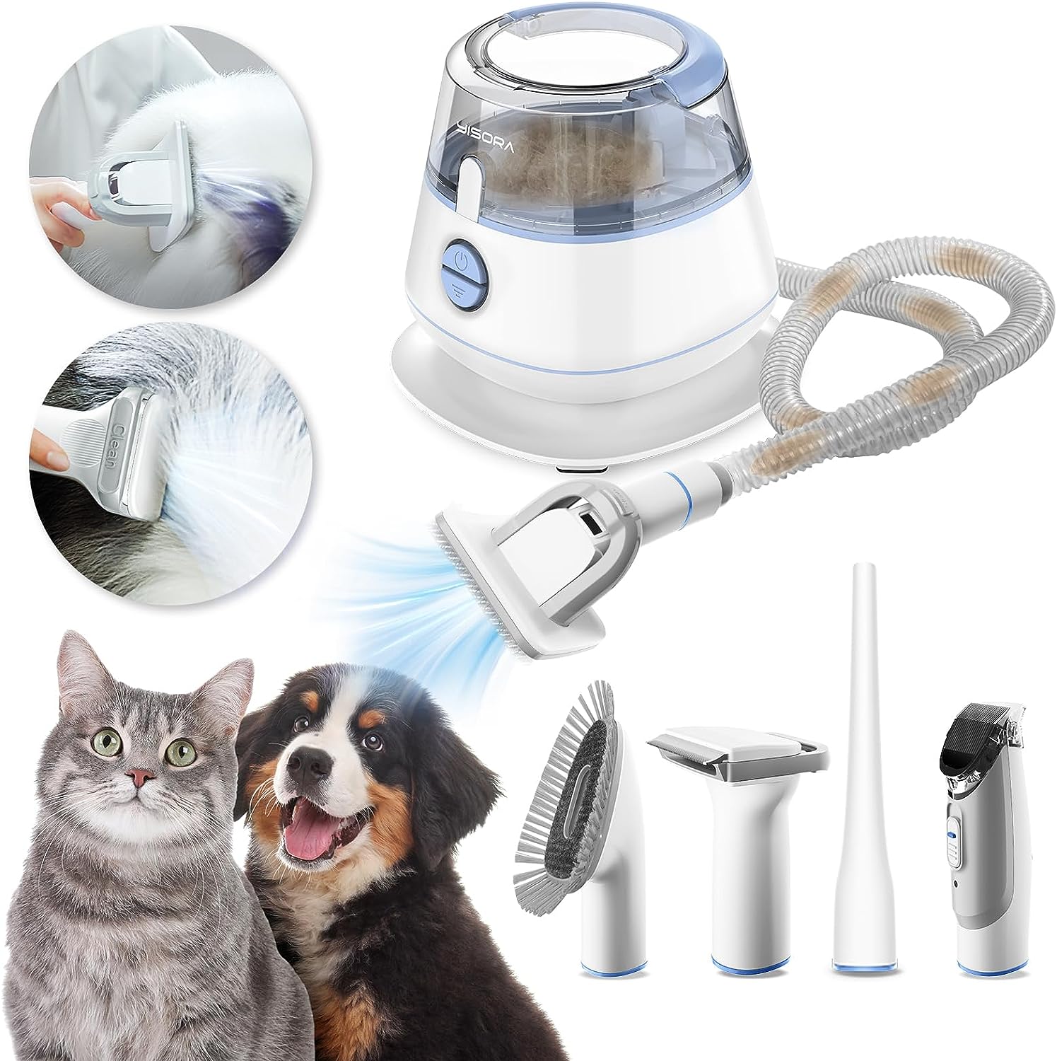 aspirateur chat.jpg