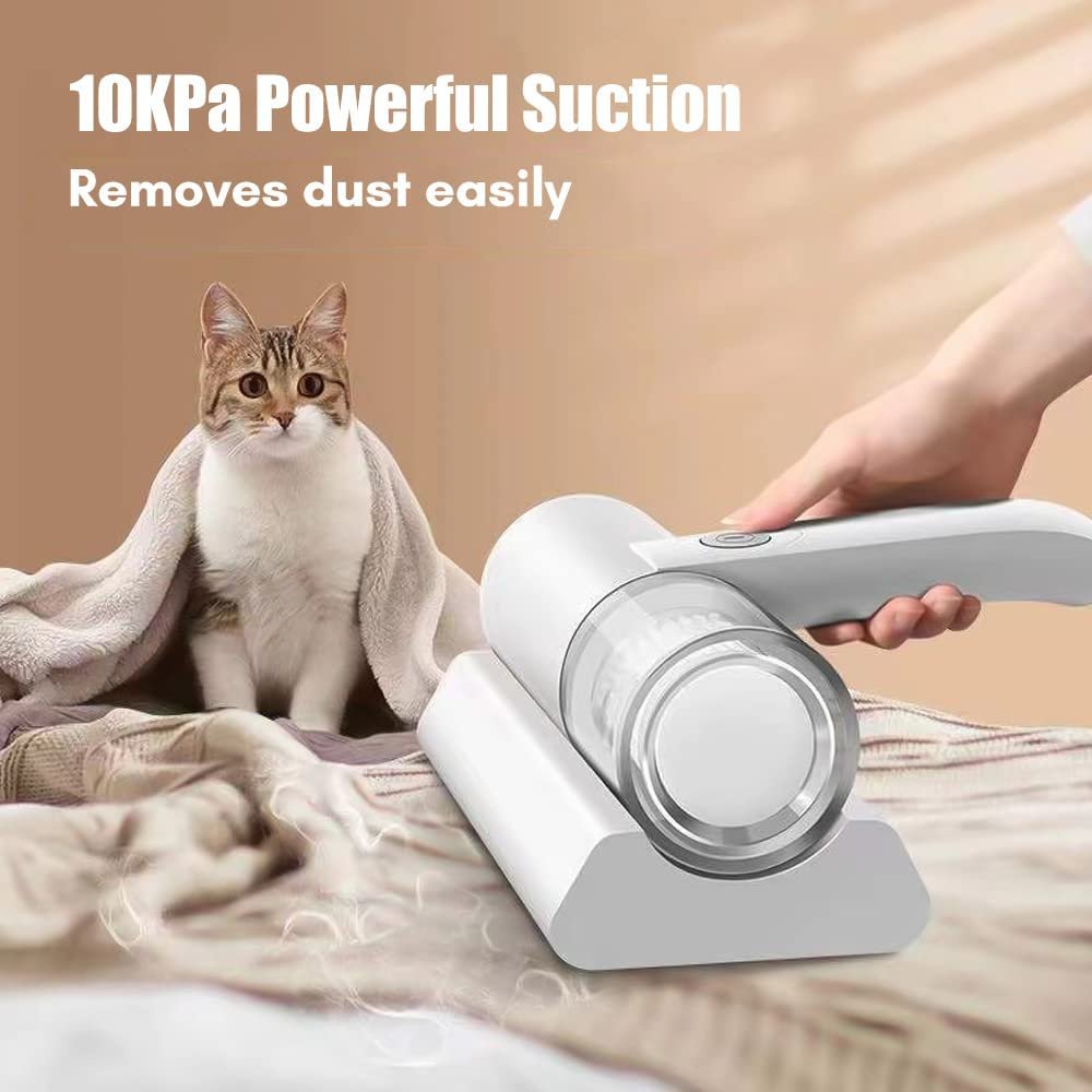 aspirateur.jpg