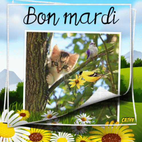 bon-mardi.gif