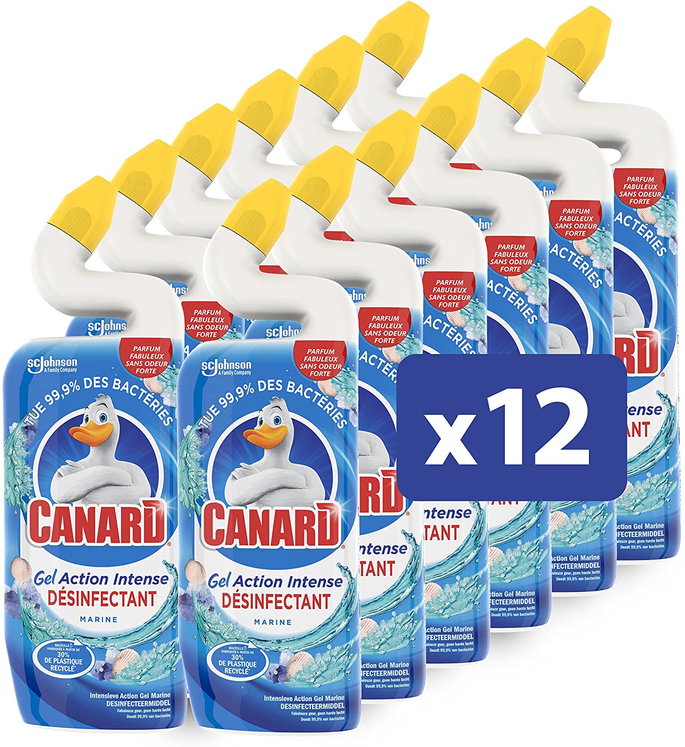 canard.jpg