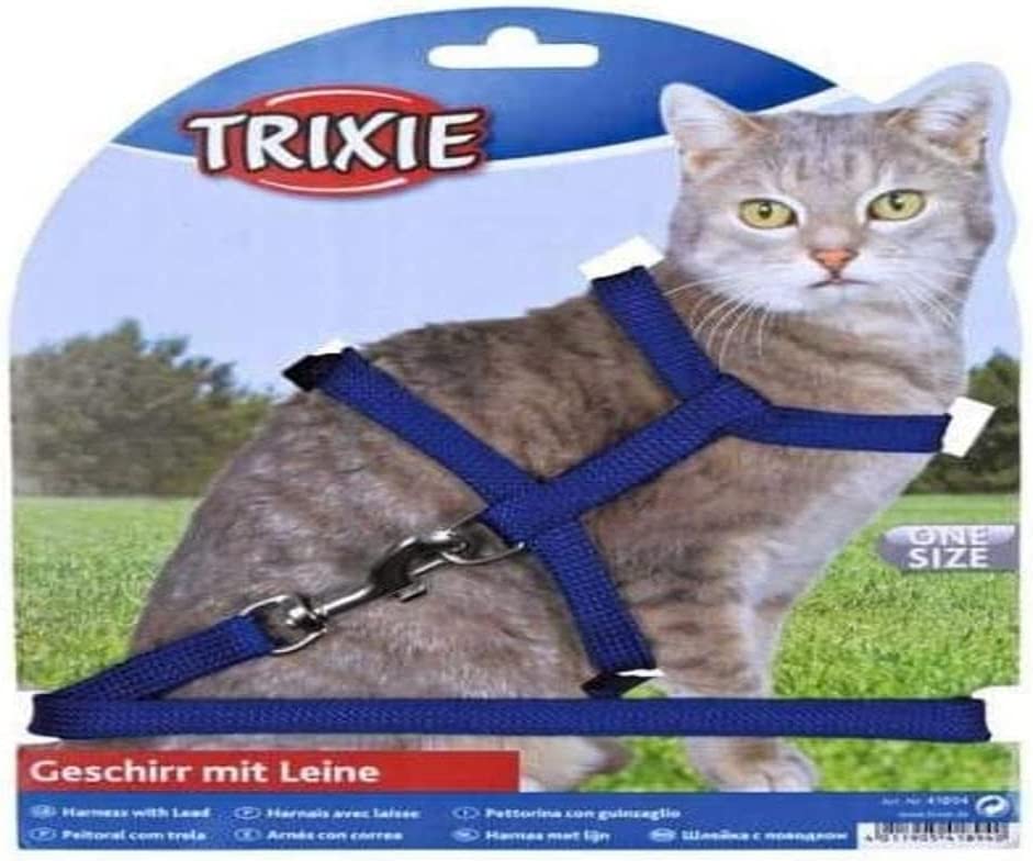 chat.jpg