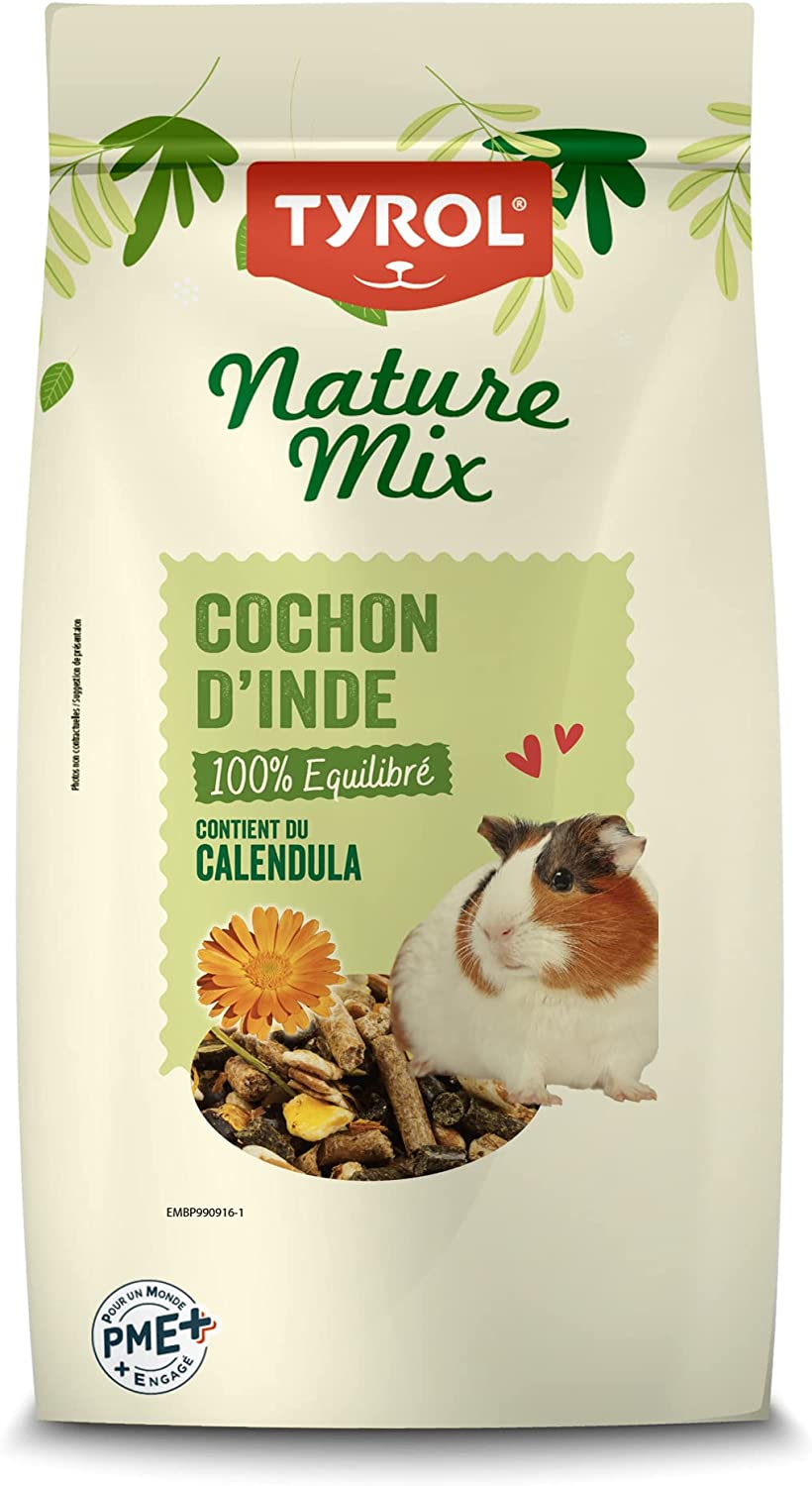 cochon.jpg