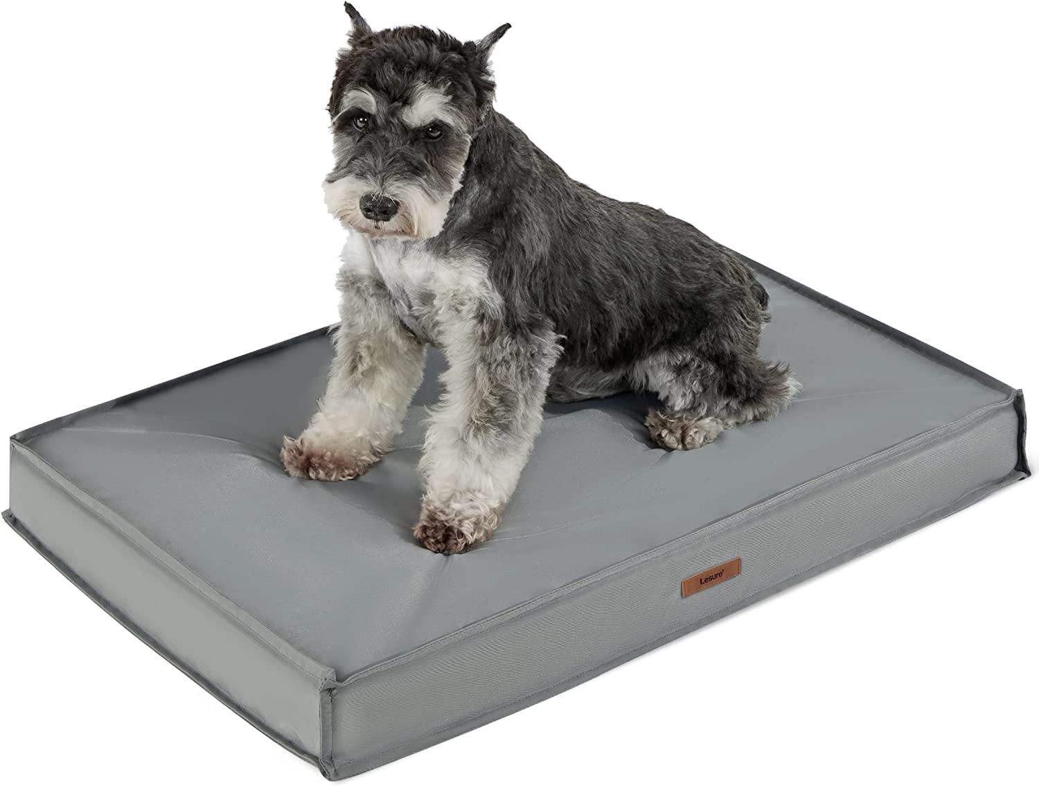 coussin chien.jpg