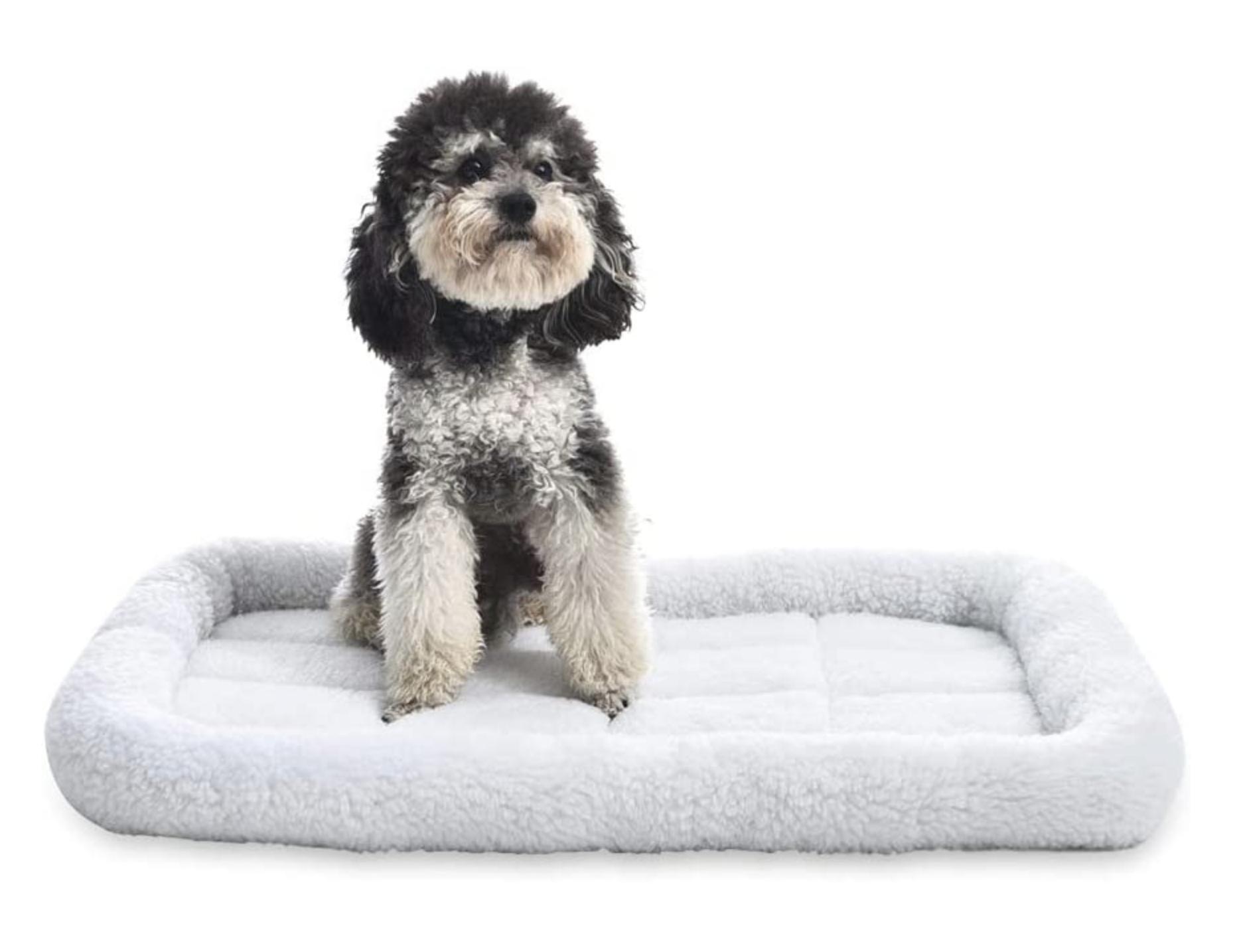coussin.jpg