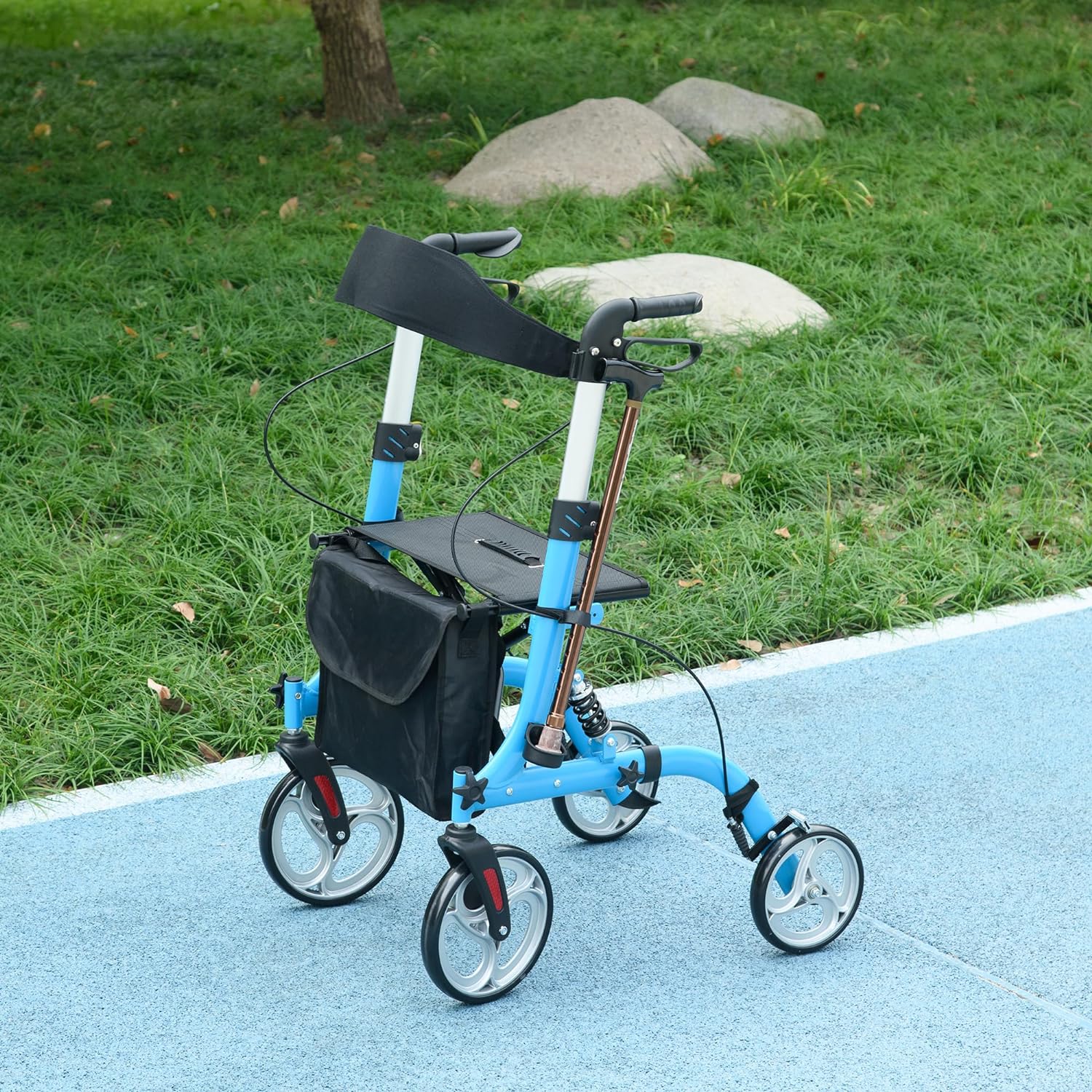 deambulateur.jpg