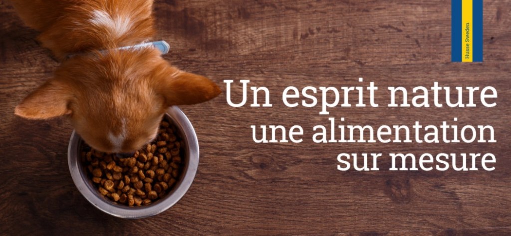 echantillon gratuit croquettes.jpeg