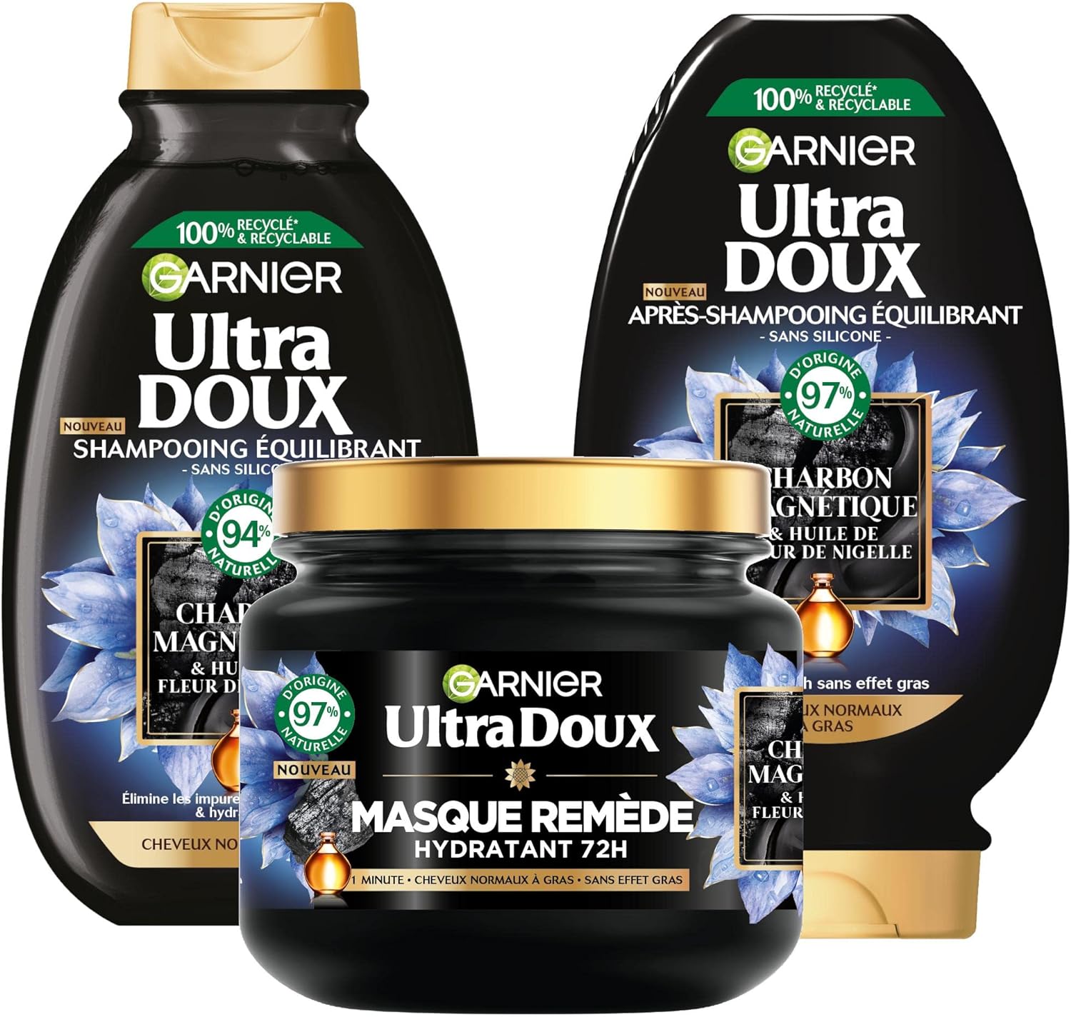 garnier.jpg