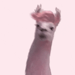 giphy(2).gif