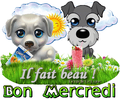 image_0946180_20210615_ob_03bd09_gif-bon-mercredi-il-fait-chaud-ave.gif