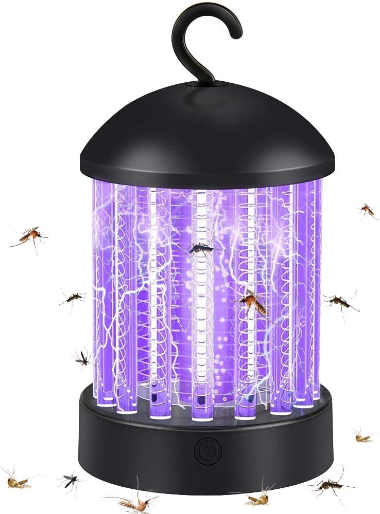 insecte.jpg