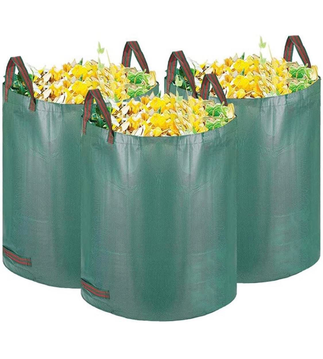 lot sac.jpg