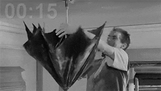 Louis.de.Funes.Parapluie(1).gif