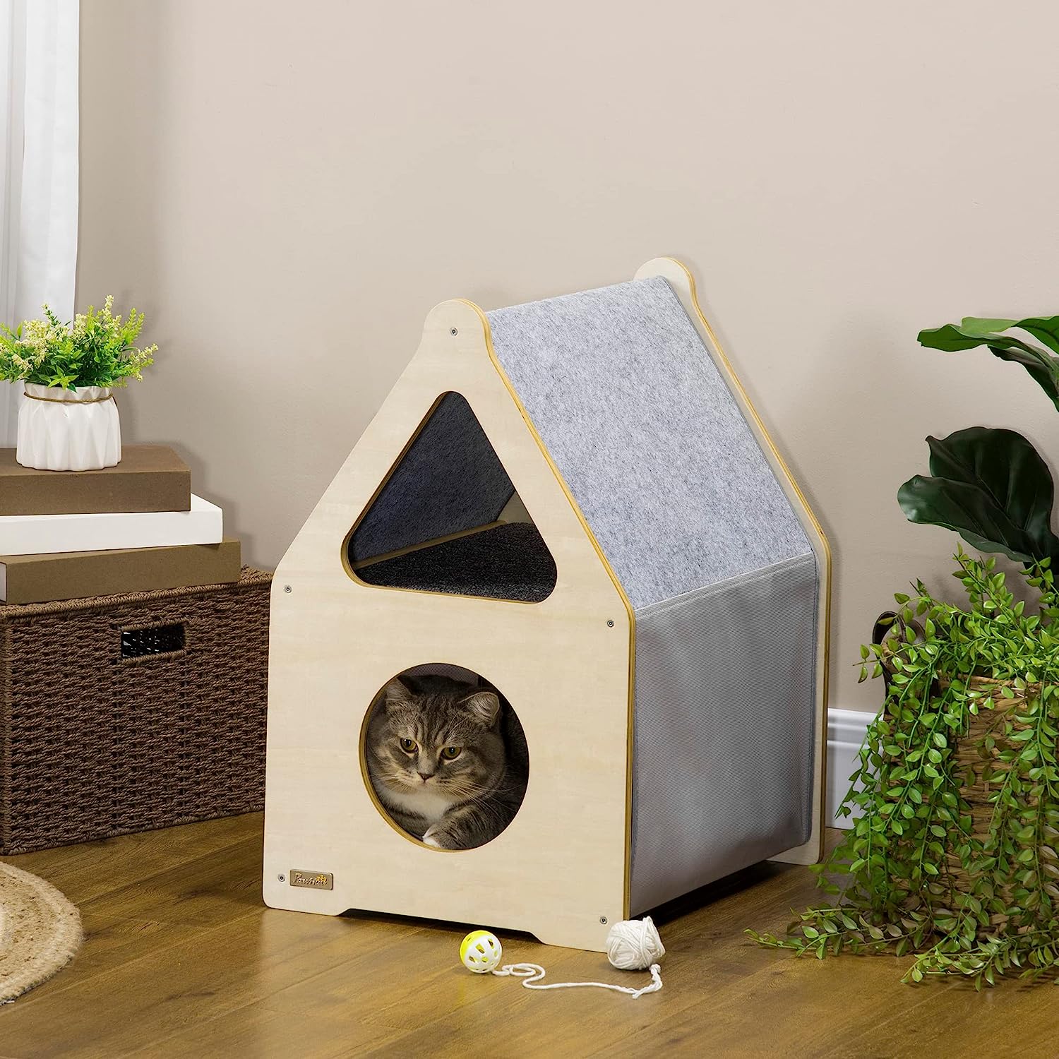 maison chat.jpg