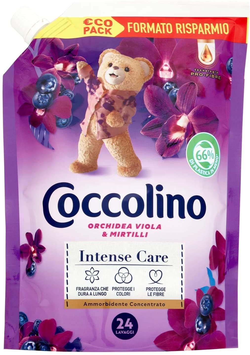 orchidée.jpg