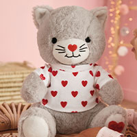 peluche-chat-alors.jpg