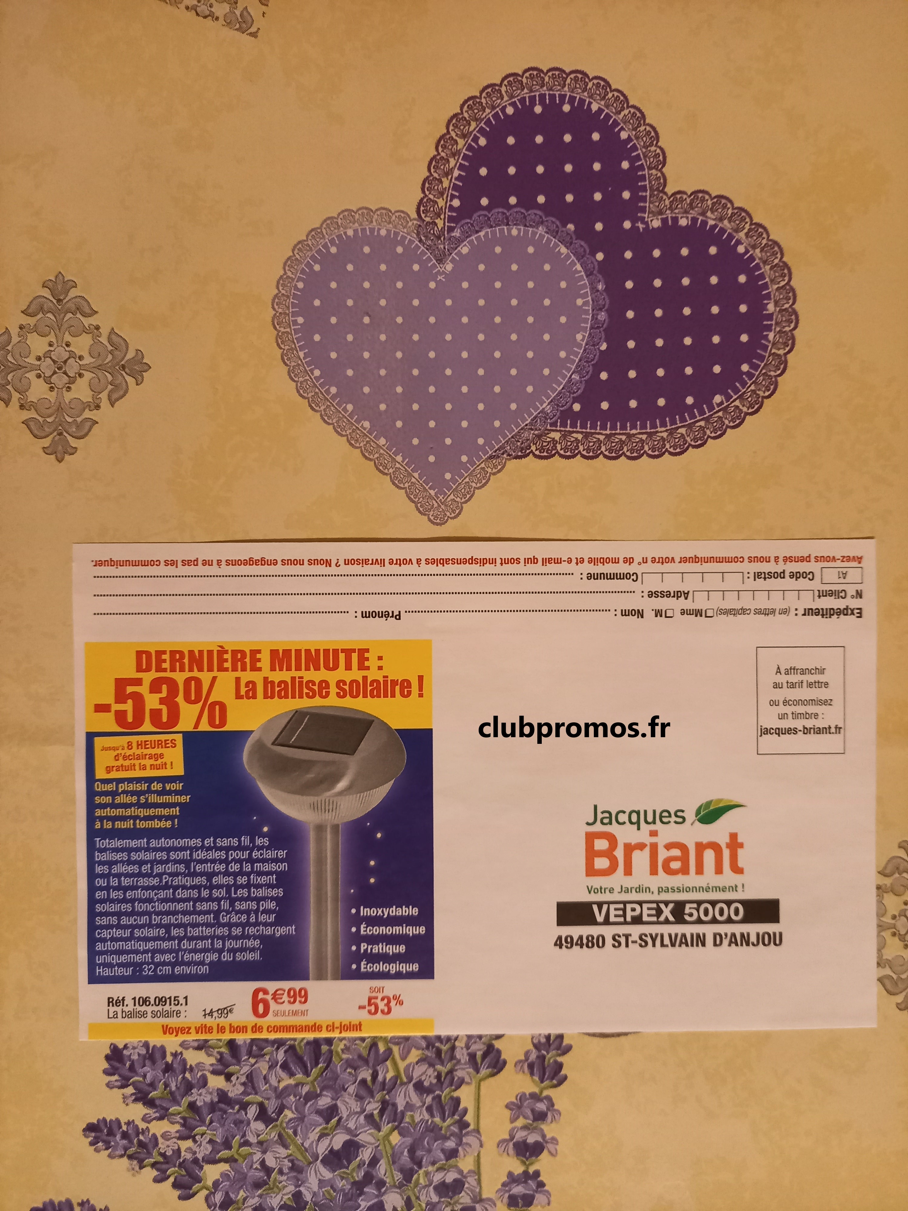 photos chats , jardin , fleurs et cimetière 200321 248.jpg