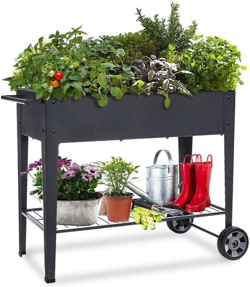 potager.jpg
