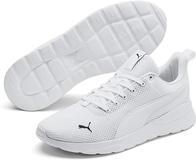 puma.jpg