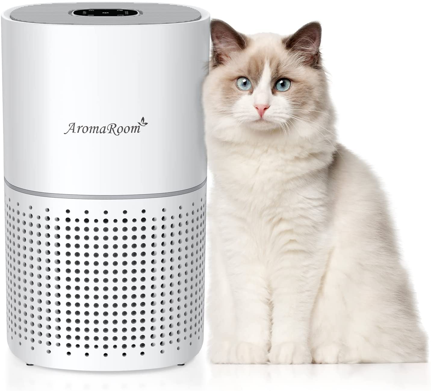 purificateur chat.jpg