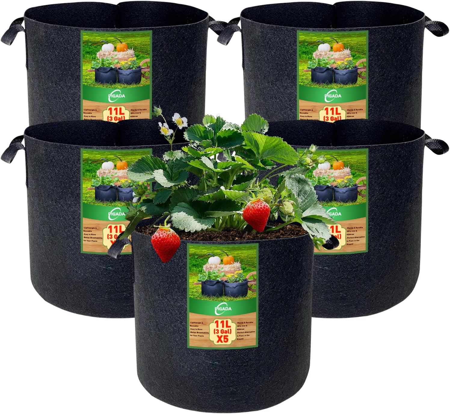 sac plantation.jpg