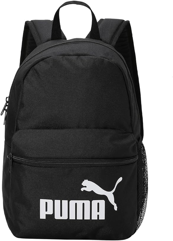 SAC PUMA PHASE.jpg