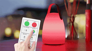 Sans-titre---1.RWWR-Lot-de-2-Lampes.gif