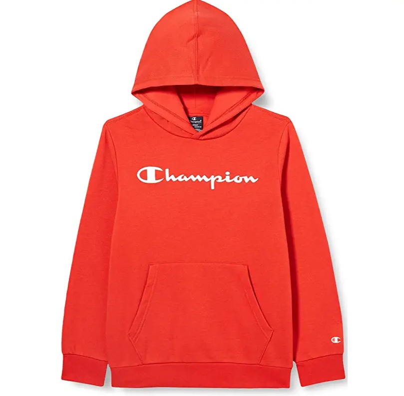 sweat capuche.jpg