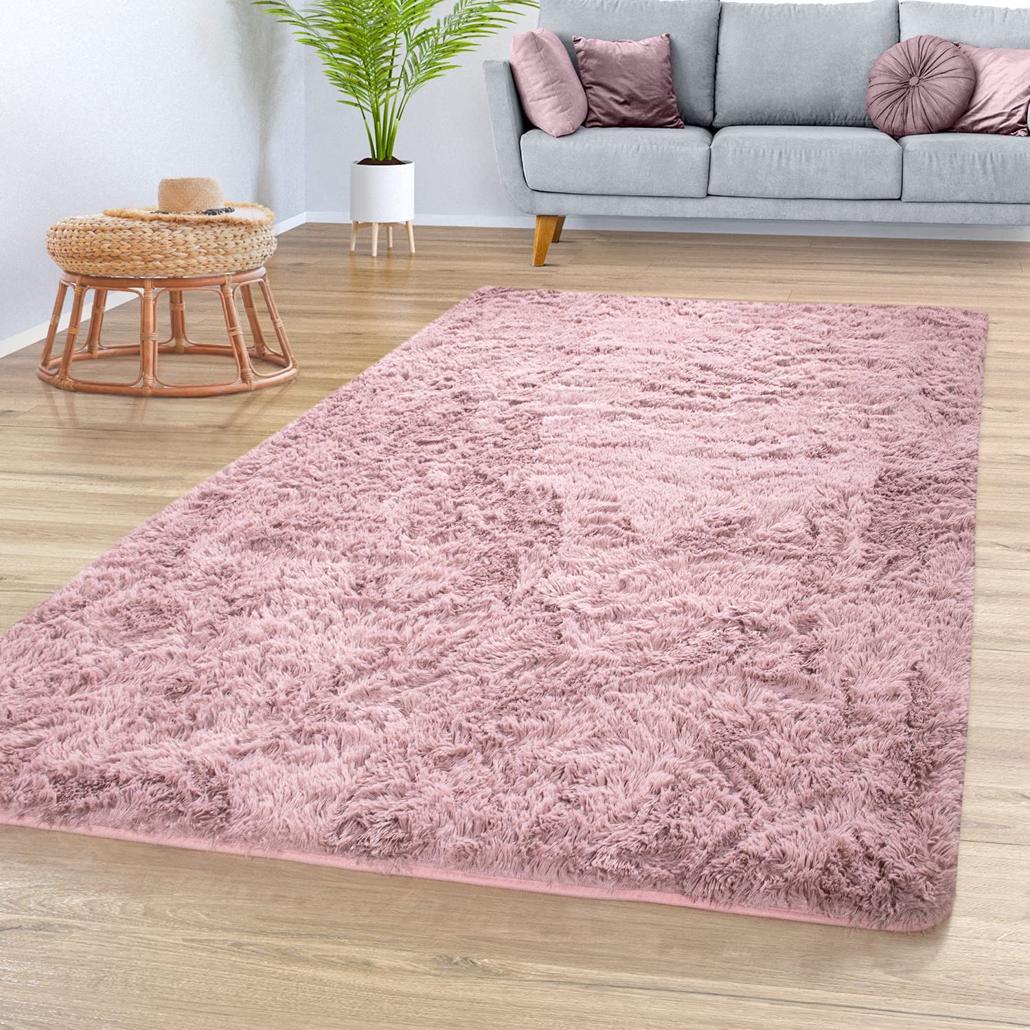 tapis salon.jpg