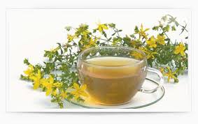 tisane.jpg