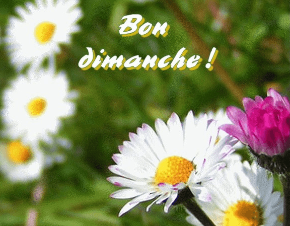 upload_2015-10-11_9-6-20.png