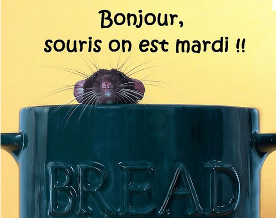 upload_2015-10-6_7-57-40.png