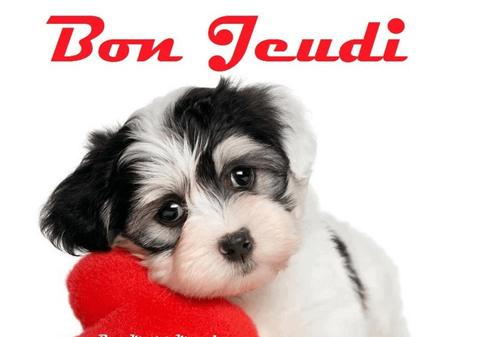 upload_2015-11-12_8-19-3.png